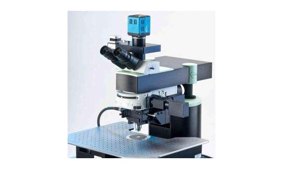 北京大学生命科学学院激光扫描双光子显微镜采购项目中标公告